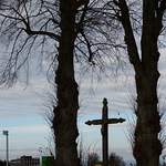 Entre Vetterwil et Ried : croix et deux arbres