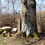 Sortie de la forêt (table en pierre et croix)